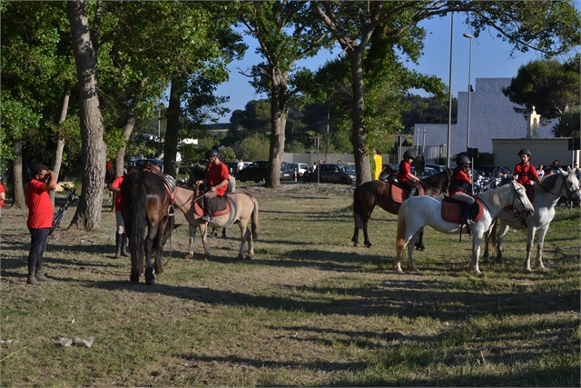 dsc_0191_2