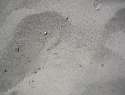 immagine-005