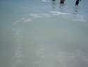 immagine-010