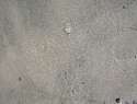 immagine-011