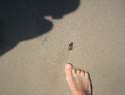immagine-015