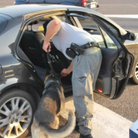 Denunciato giovane per possesso di cocaina a Poggiardo