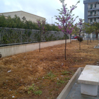 Continua la polemica sul pesticida Hopper Blu