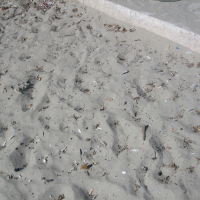 Spiagge sporche all’interno di Otranto