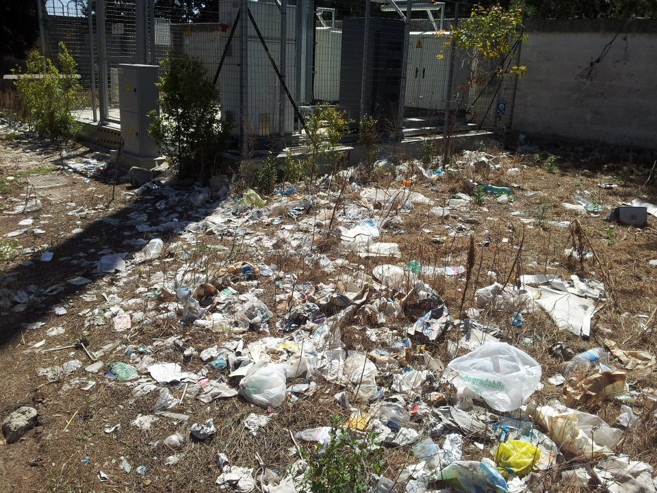 428497_10150975611462210_297812760_n