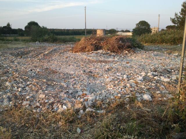 550671_10150975607822210_1037134927_n