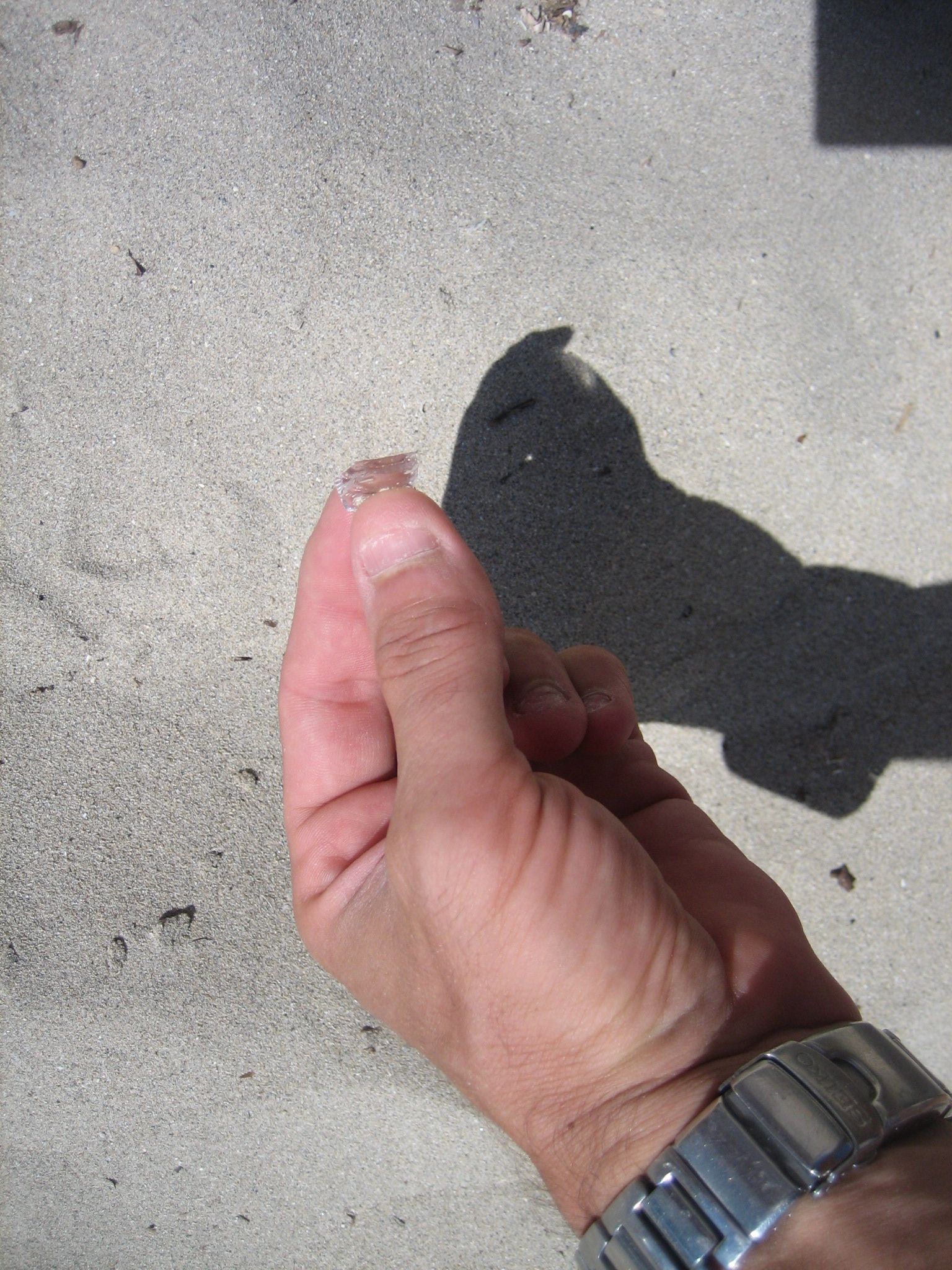 immagine-006 immagine-006